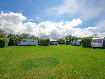 Gold electric grass pitch