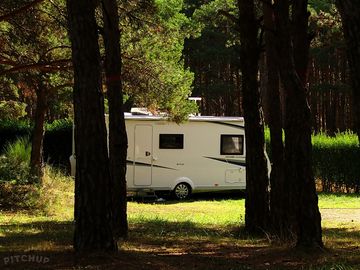 Tourer pitch among the trees (added by manager 08 nov 2023)