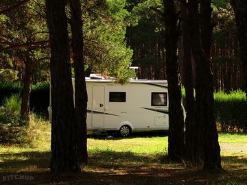 Tourer pitch among the trees