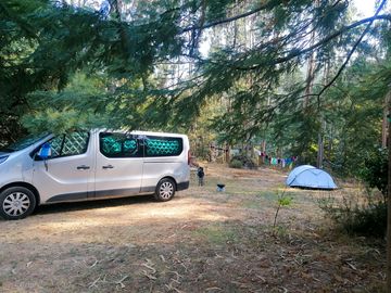 Pitches under the cover of trees