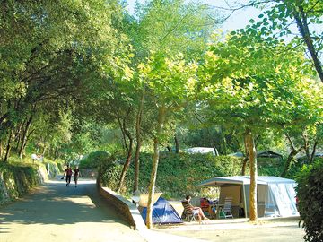 Peaceful pitches surrounded by trees