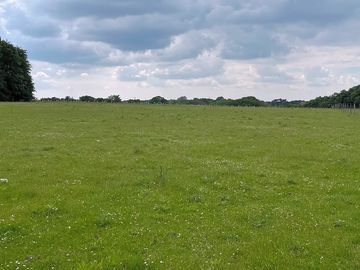 Views from a pitch near the horses' fields