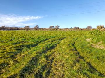 Bottom meadow