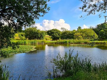 Our lovely lakes are popular with wildlife watchers