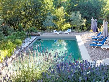 Ecological pool – no chlorine or salt, just nature (added by manager 14 dec 2022)
