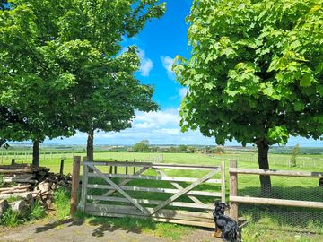 Grass camping meadow (added by manager 27 may 2022)