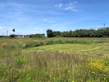 Meadow-style mown pitches with pathways
