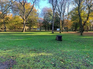 Grass pitches among the trees