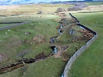 Stream running through the farm