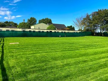 Grass tent pitches