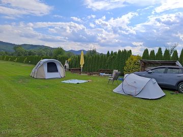 Pitches backed by cypress trees