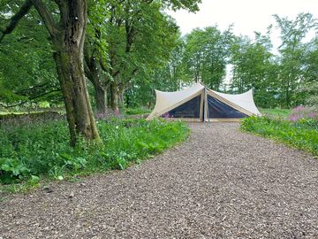 Safari tent