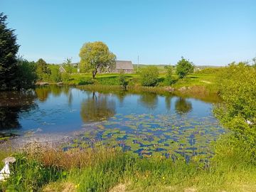 Lake view