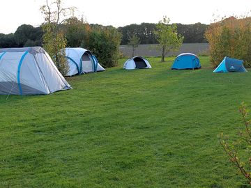 Large pitches on a grass field