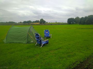 Grass pitches