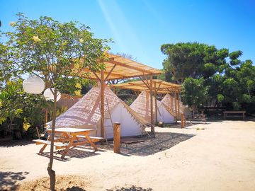 Natural camp rental tents