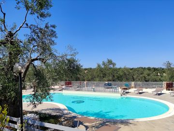 View of olive groves from the pool (added by manager 06 jun 2022)