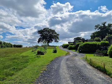 Around the site