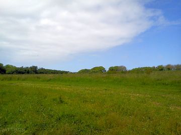 The green field (added by manager 17 jun 2013)