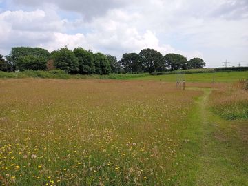 Campsite