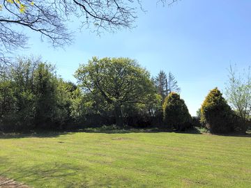 Garden area
