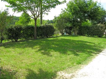 Hedges around pitches for privacy