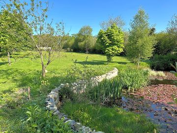 Top field and lily pond
