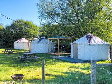 Showing the yurts