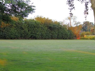 Camping meadow