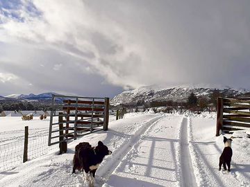 Croft in winter