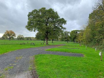 View over the site