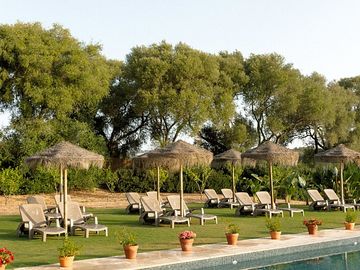 Pool and garden