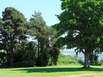 Grass space on site.