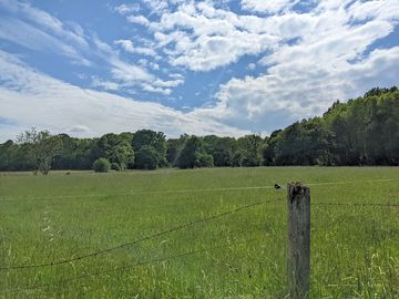 Grassy pitches