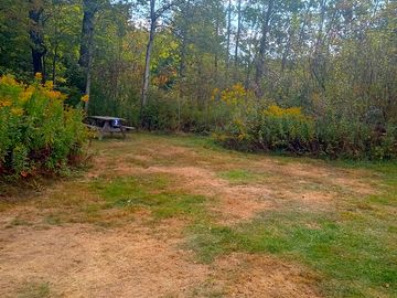 Wildflowers and mature trees