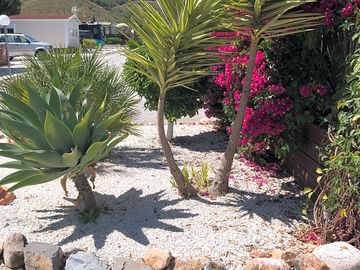 Beautifully-maintained gardens