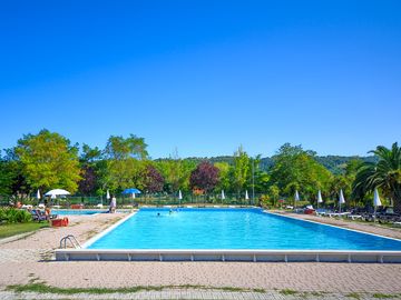Swimming pool with grass sun terrace