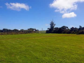 Field