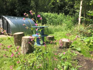 Fun camping pod for those with a quirky camping need!