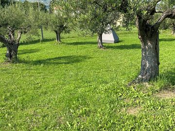 Camping area