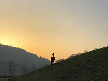 Silhouette of one of our llamas in the sunset (added by manager 21 jul 2021)