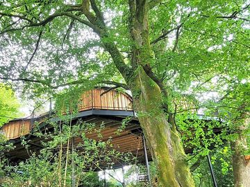 View of the treehouse from below (added by manager 22 oct 2023)