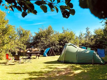 Camping setup at one of our secluded pitches (added by manager 04 jun 2024)