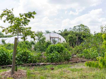 Permaculture garden (added by manager 27 jun 2017)