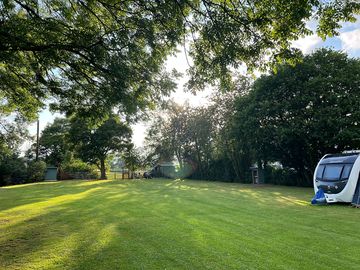 Grassy pitches