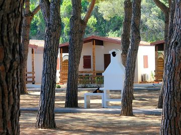 Bungalow shaded by trees