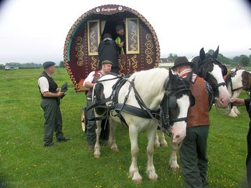 No hook-up required with this horse-drawn visitor