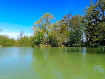 The lake and private island are all yours