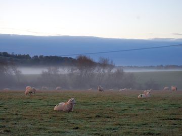 View across the valley