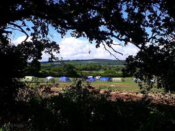 Looking through the trees to the pitches
